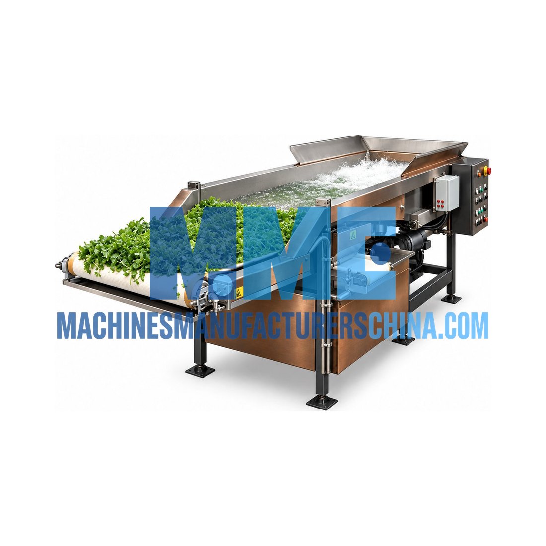 Vegetable and Fruit Washing Line — Food Processing Plants